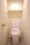 Brillia Ist Ueno Inaricho - Interior - ["Toilet seat", "Toilet", "Bathroom"] thumbnail