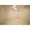 Comforia Fudomae - Interior - ["Property", "Ceiling", "Light"] thumbnail