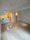 City Index Nishi-Gotanda - Interior - ["Flooring", "Floor", "Wood flooring"] thumbnail