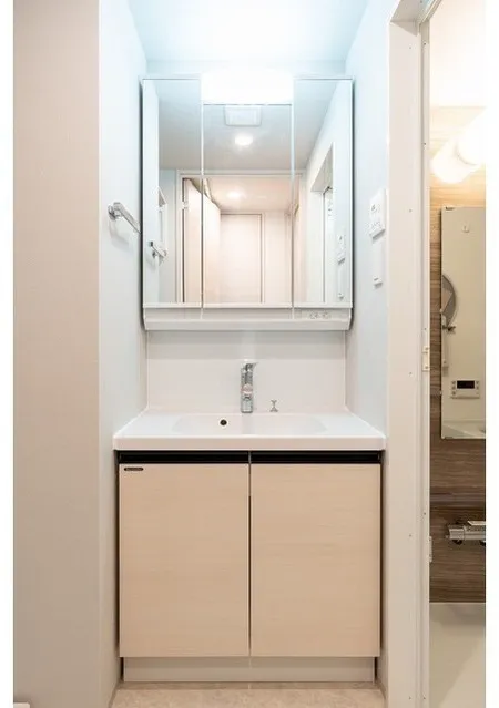 Due Asakusa - Interior - ["Mirror", "Bathroom cabinet", "Tap"]