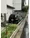 Prele Duc Kinshi Park NORTH - Exterior - ["Motor vehicle", "Car", "Automotive lighting"] thumbnail