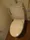 Shibaura Square Heights - Interior - ["Toilet seat", "Toilet", "Bathroom"] thumbnail