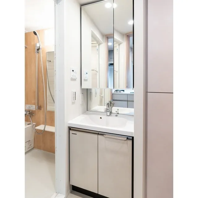 Lefond Progres Shinagawa Togoshi - Interior - ["Tap", "Mirror", "Sink"]