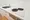 Primal Koishikawa - Interior - ["Sink", "Tap", "Cabinetry"] thumbnail