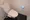Cross Residence Kamata - Interior - ["Toilet seat", "Plumbing fixture", "Toilet"] thumbnail