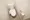 Hmlet Kitashinjuku - Interior - ["Toilet seat", "Toilet", "Bathroom"] thumbnail