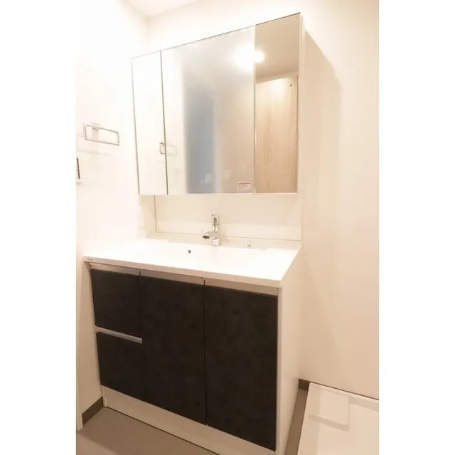 Livicourt Lower Case - Interior - ["Mirror", "Tap", "Bathroom cabinet"]
