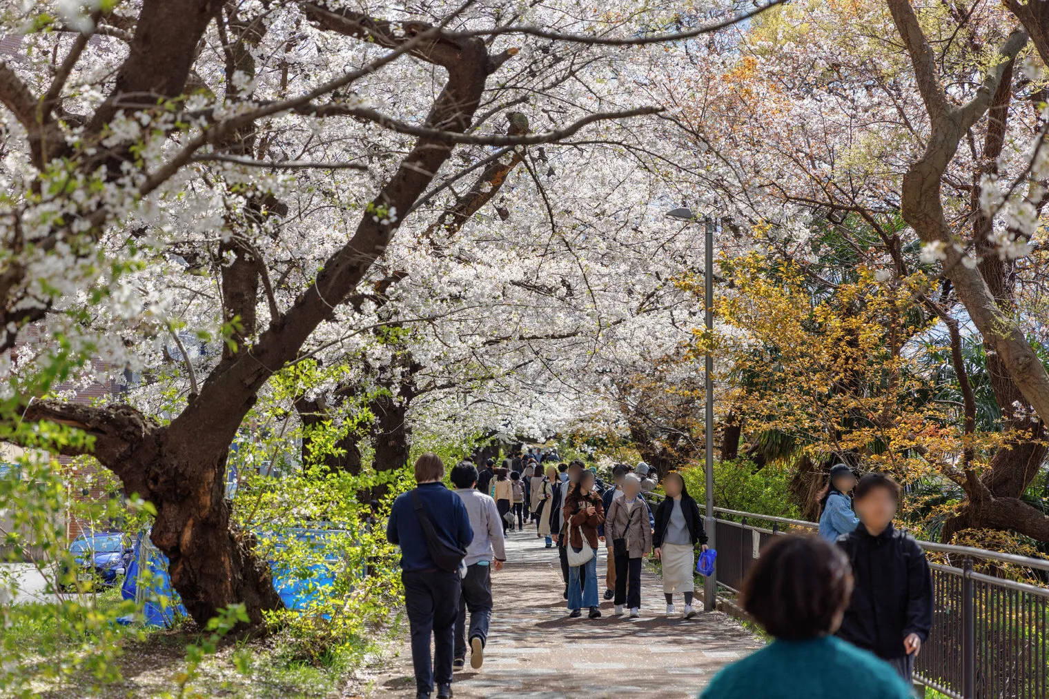 The Parkhabio Ichigaya East - Other - []