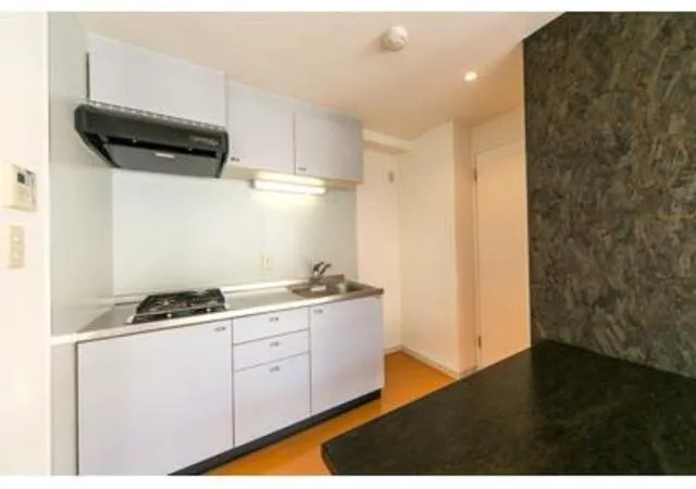 Park Axis Shibuya - Interior - ["Flooring", "Apartment", "Floor"]