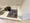 Makes Design Shiba Park - Interior - ["Kitchen Appliance", "Major appliance", "Kitchen stove"] thumbnail