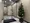 Geoluminous - Exterior - ["Christmas tree", "Plant", "Interior design"] thumbnail