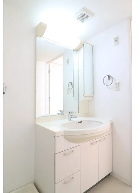 Shinonome Canal Court CODAN Building No.20 - Interior - ["Mirror", "Bathroom cabinet", "Sink"]