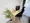 Mynavi STAY Miraie Himonya - Interior - [] thumbnail