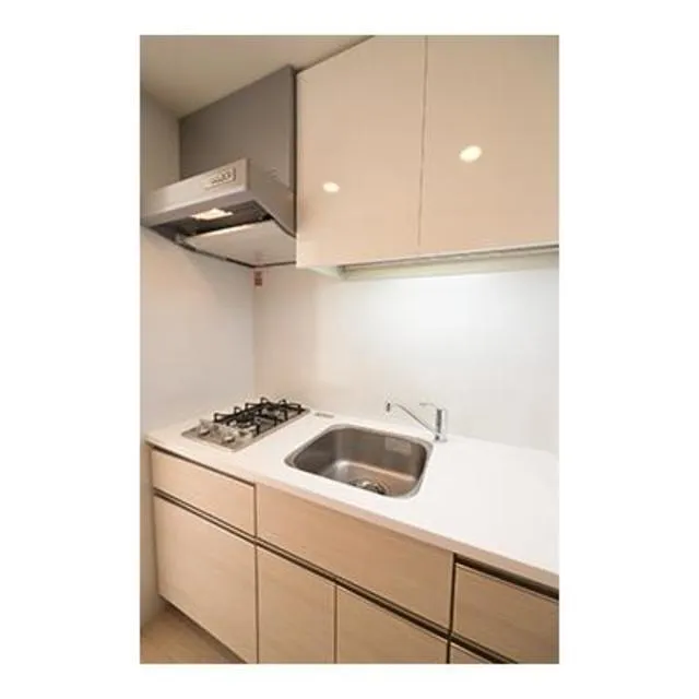 Park Axis Jiyugaoka Terrace - Interior - ["Countertop", "Cabinetry", "Sink"]