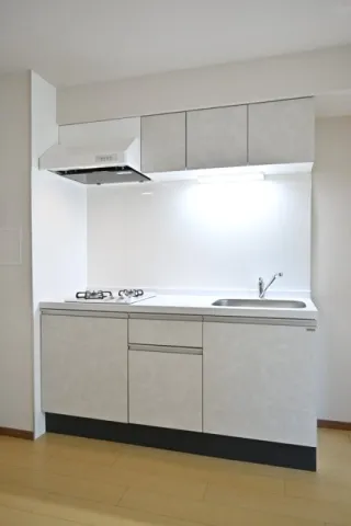 CENTRAL GARDEN RESIDENCE TOKYO - Interior - ["Kitchen", "Kitchen Sink", "Sink"]