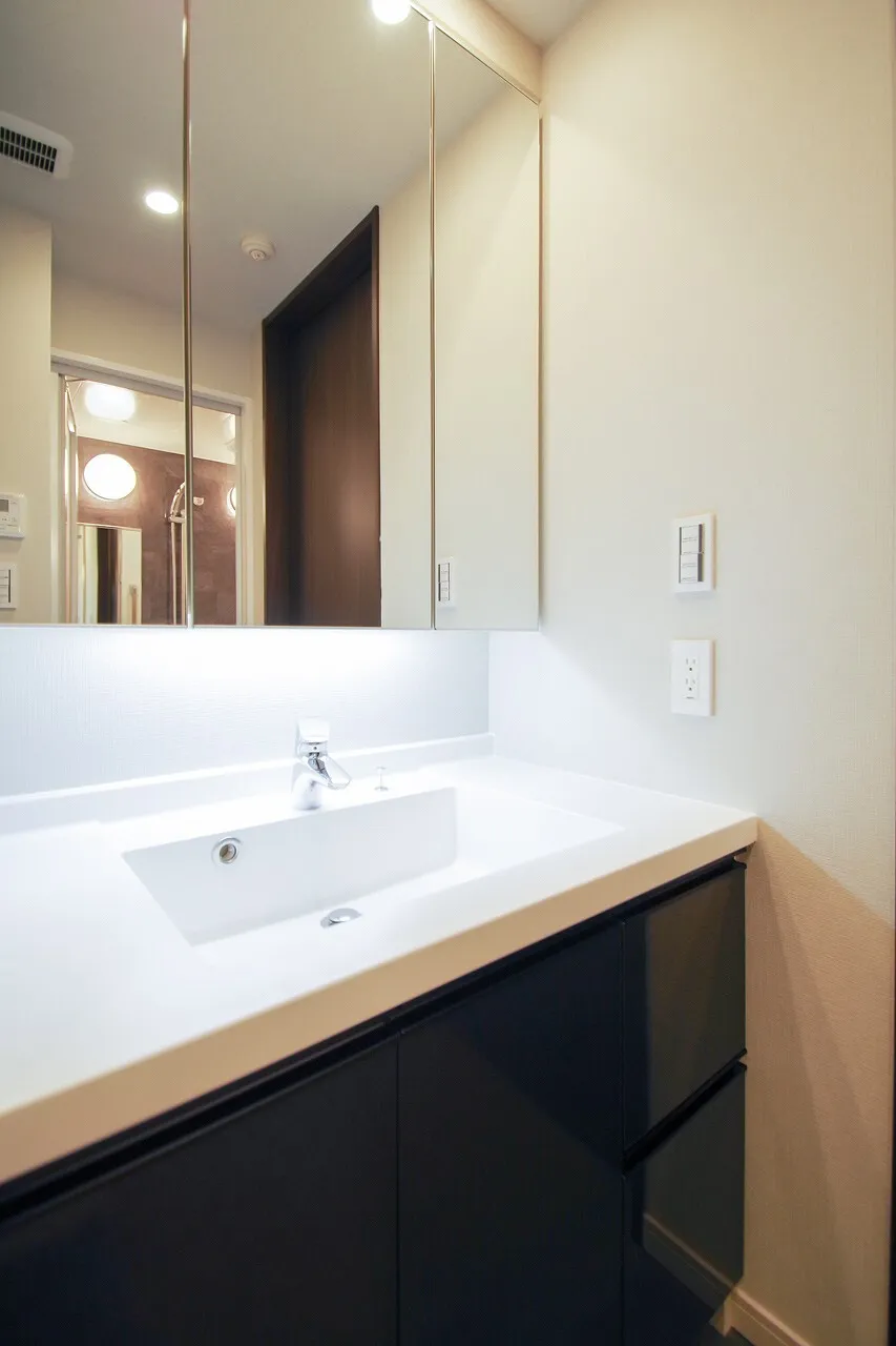 La Tour Shinjuku Annex - Interior - ["Mirror", "Tap", "Sink"]