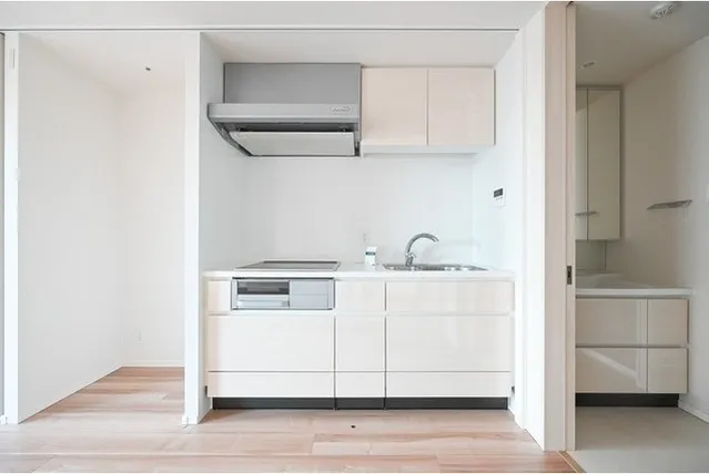 SHIBUYA CAST. APARTMENT - Interior - ["Cabinetry", "Countertop", "Tap"]