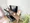 Mynavi STAY Miraie Kudan Minami - Interior - [] thumbnail