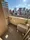 Palace Studio Otsuka - Interior - ["Apartment", "Composite material", "Condominium"] thumbnail