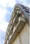 Court Sanya - Exterior - ["Daytime", "Apartment", "Residential area"] thumbnail