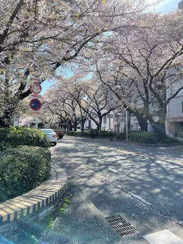 Hoyu Palace Sagamihara Minami Room 102