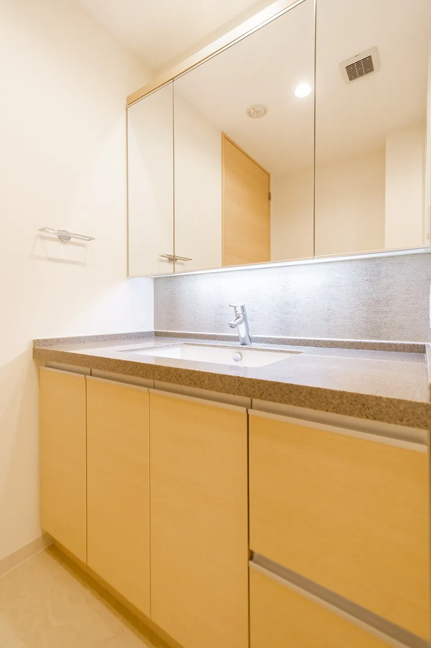 Central Park Tower La Tour Shinjuku - Interior - ["Cabinetry", "Countertop", "Property"]