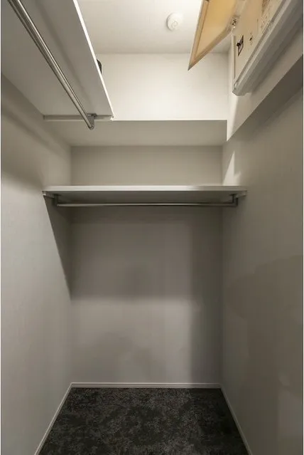 Tokyo Port City Takeshiba Residence Tower - Interior - ["Wood", "Flooring", "Floor"]