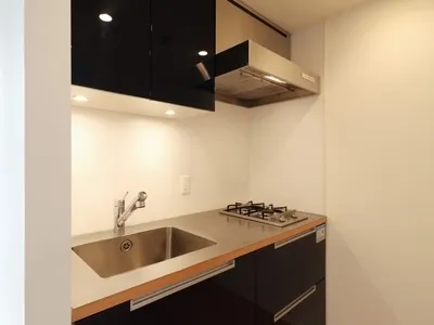 Premier Brand Yoyogi Park - Interior - ["Kitchen sink", "Cabinetry", "Sink"]