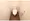 GT Square - Interior - ["Toilet seat", "Toilet", "Plumbing fixture"] thumbnail