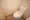 Sereno Shinagawa - Interior - ["Toilet seat", "Toilet", "Plumbing fixture"] thumbnail