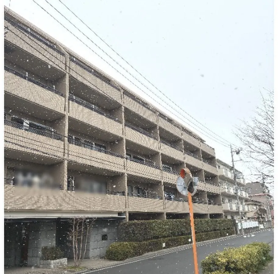 Cosmo Motosumiyoshi Court Form