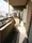 Asahi Mansion Shirokane Dori - Interior - ["Building", "Fixture", "Wood"] thumbnail