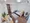Mynavi STAY Hon-Haneda - Interior - ["Flooring", "Floor", "Furniture"] thumbnail