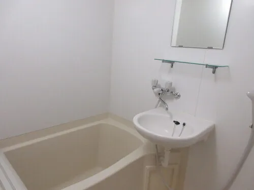 Lions Mansion Shirogane No. 3 - Interior - ["Mirror", "Property", "Plumbing fixture"]