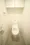 CONTRAL NAKAMEGURO - Interior - ["Toilet seat", "Toilet", "Building"] thumbnail