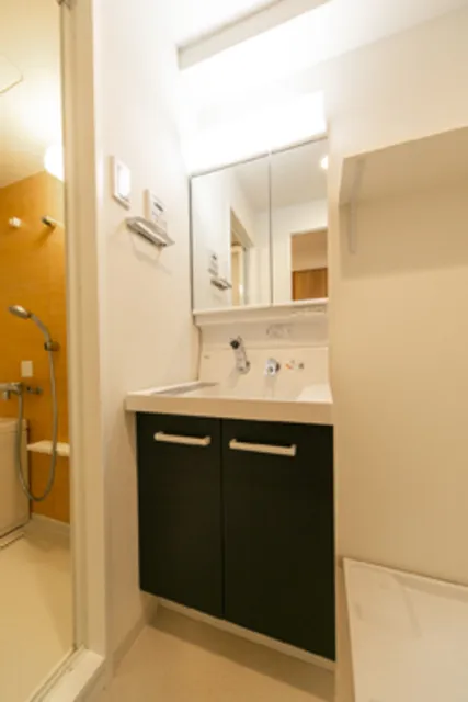 Fontana Iriya - Interior - ["Bathroom cabinet", "Cabinetry", "Sink"]