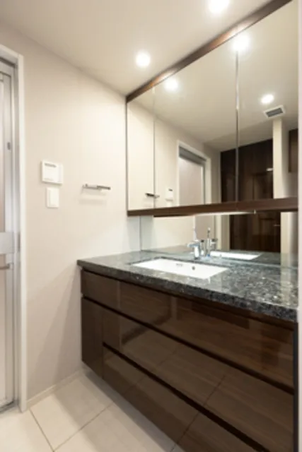 Millea Court Ginza Premier - Interior - ["Mirror", "Cabinetry", "Tap"]
