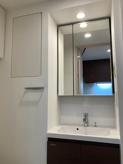 Bowflats Shinagawa Canal Side - Interior - ["Mirror", "Tap", "Sink"]
