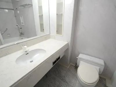 Shinagawa Prince Residence - Interior - ["Plumbing fixture", "Bathroom Sink", "Bathroom"]
