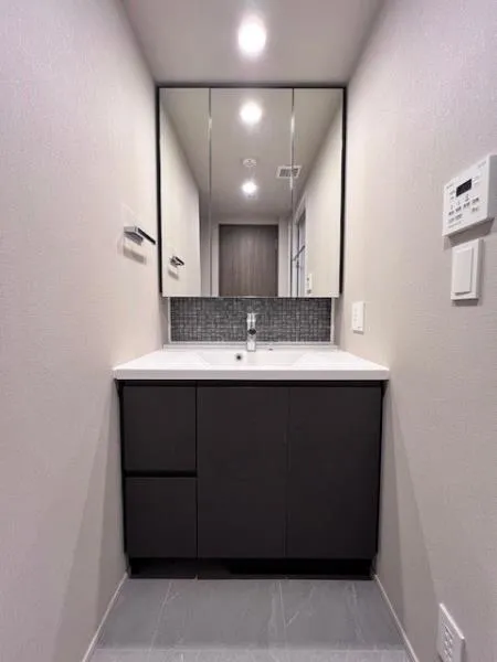 Brillia Ist Oimachi - Interior - ["Flooring", "Floor", "Interior design"]