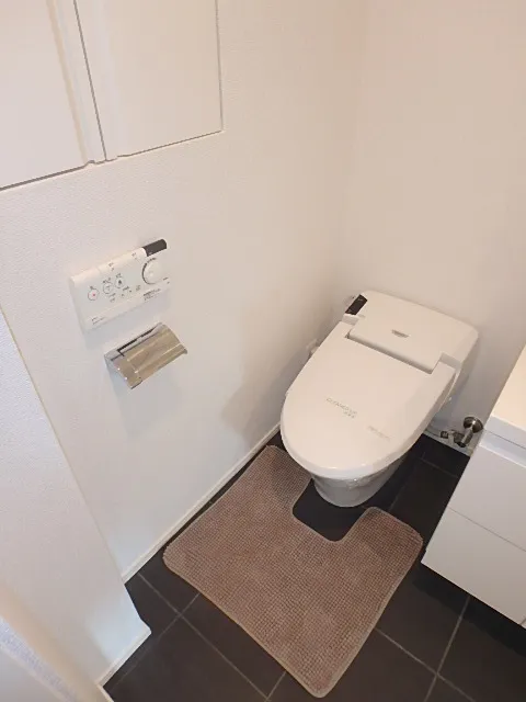 Residence Shirokane Park Front - Interior - ["Toilet seat", "Plumbing fixture", "Toilet"]