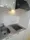 Cross Residence Shirokane Takanawa - Interior - ["Kitchen Sink", "Kitchen Appliance", "Kitchen"] thumbnail