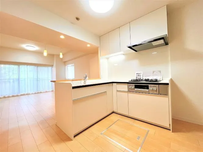 Pure Heights Minamimankigahara Room 104