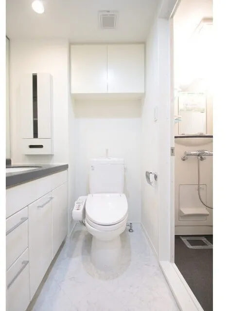 Castalia SuitenguⅡ - Interior - ["Toilet seat", "Bathroom", "Plumbing fixture"]