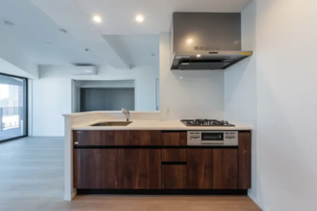 Horinouchi Mansion - Interior - ["Cabinetry", "Countertop", "Property"]
