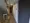 Regaland Meguro - Exterior - ["Fixture", "Door", "Floor"] thumbnail