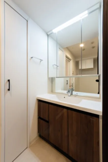 Horinouchi Mansion - Interior - ["Mirror", "Tap", "Bathroom cabinet"]