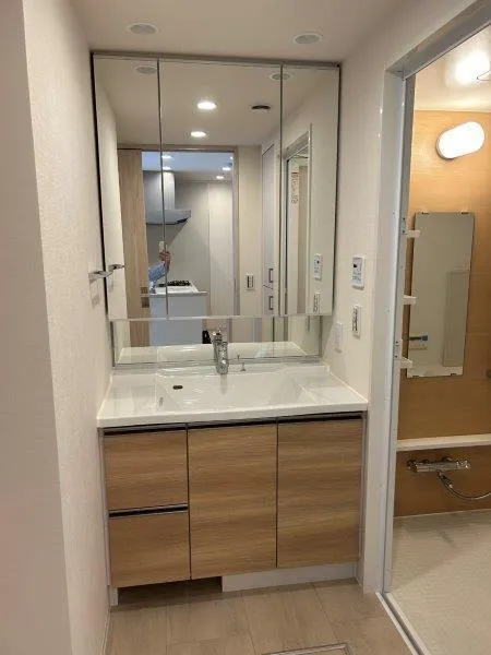 Osaka Bay Residence - Interior - ["Bathroom Sink", "Sink", "Flooring"]