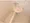 Phoenix Edogawabashi - Interior - ["Plumbing fixture", "Bathroom", "Plumbing"] thumbnail