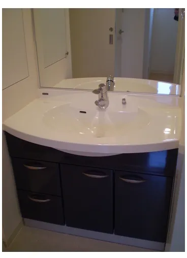 Comforia Shinjuku Gyoen II - Interior - ["Tap", "Bathroom cabinet", "Sink"]